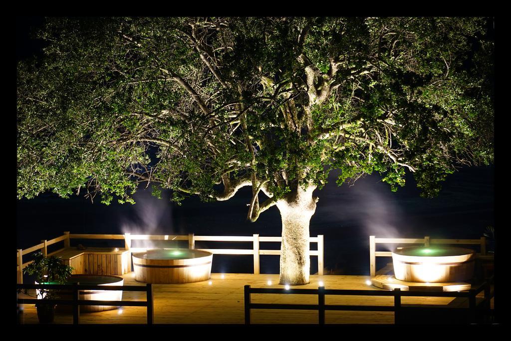 Hotel Park