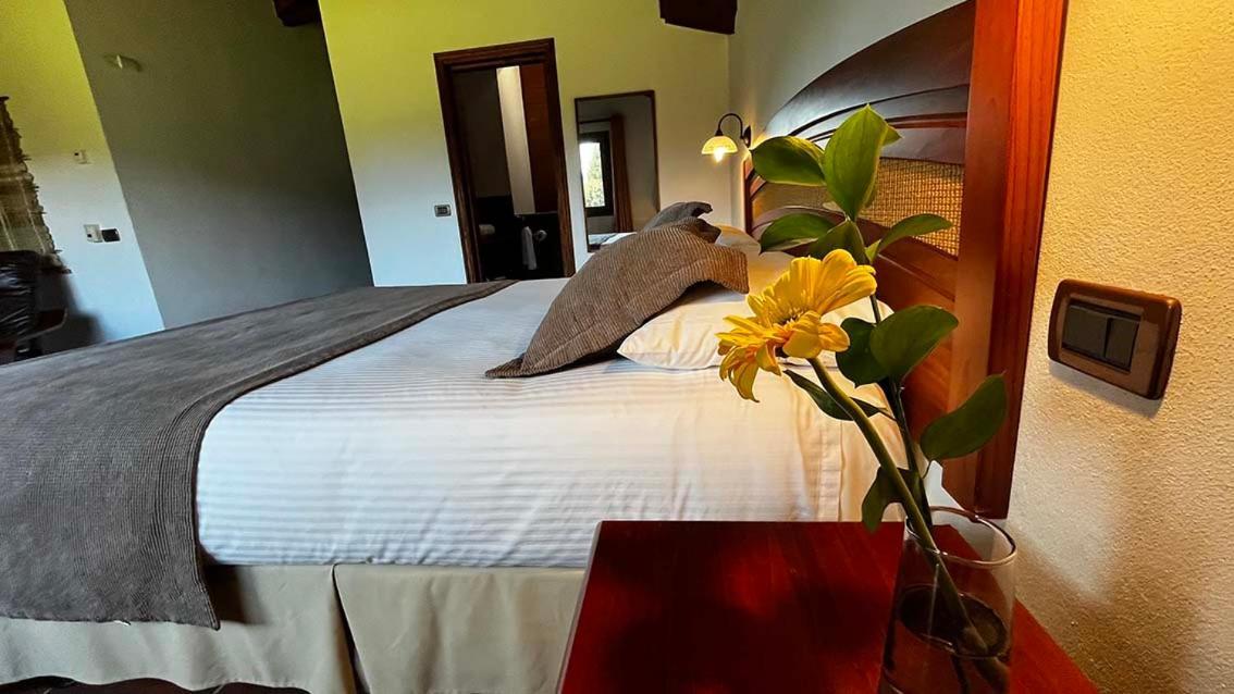 Hotel Park 4*
